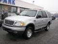 Silver Metallic - Expedition XLT 4x4 Photo No. 1