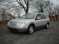 Silver Birch Metallic - Taurus X SEL AWD Photo No. 1