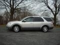 Silver Birch Metallic - Taurus X SEL AWD Photo No. 2