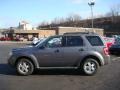 2010 Sterling Grey Metallic Ford Escape XLT V6 4WD  photo #6