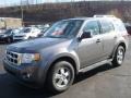 2010 Sterling Grey Metallic Ford Escape XLT V6 4WD  photo #7