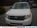 2010 White Suede Ford Escape XLT V6 4WD  photo #3