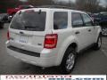 2010 White Suede Ford Escape XLT V6 4WD  photo #6