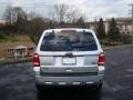 2010 Ingot Silver Metallic Ford Escape Limited V6 4WD  photo #4