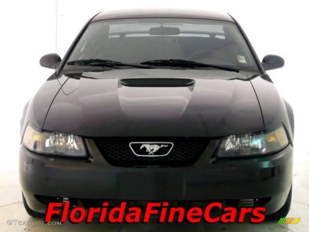 2001 Mustang V6 Coupe - Black / Dark Charcoal photo #5