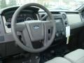 2010 Oxford White Ford F150 XL Regular Cab 4x4  photo #12