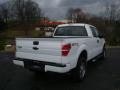 2010 Oxford White Ford F150 STX SuperCab 4x4  photo #3