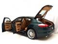 2010 Jet Green Metallic Porsche Panamera 4S  photo #18