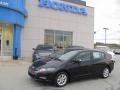 2010 Crystal Black Pearl Honda Insight Hybrid EX  photo #1