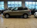 2007 Natural Khaki Green Hyundai Santa Fe GLS 4WD  photo #1