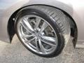 Platinum Graphite - M 45 Sedan Photo No. 18
