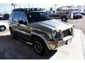 Light Khaki Metallic - Liberty Renegade 4x4 Photo No. 2