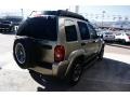 Light Khaki Metallic - Liberty Renegade 4x4 Photo No. 3