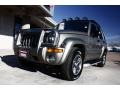 Light Khaki Metallic - Liberty Renegade 4x4 Photo No. 19