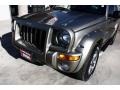 Light Khaki Metallic - Liberty Renegade 4x4 Photo No. 20