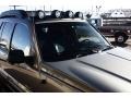 Light Khaki Metallic - Liberty Renegade 4x4 Photo No. 22