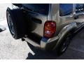 Light Khaki Metallic - Liberty Renegade 4x4 Photo No. 23