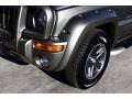 Light Khaki Metallic - Liberty Renegade 4x4 Photo No. 27