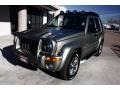 Light Khaki Metallic - Liberty Renegade 4x4 Photo No. 29