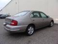 2001 Titanium Frost Pearl Nissan Altima GXE  photo #9