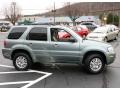 Light Tundra Metallic - Mariner Luxury 4WD Photo No. 4