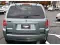 Light Tundra Metallic - Mariner Luxury 4WD Photo No. 6