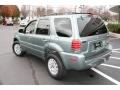 Light Tundra Metallic - Mariner Luxury 4WD Photo No. 8