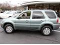 Light Tundra Metallic - Mariner Luxury 4WD Photo No. 9