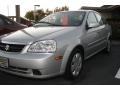 2007 Titanium Silver Metallic Suzuki Forenza Sedan  photo #23