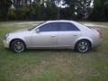 Light Platinum - CTS Sedan Photo No. 1