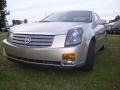Light Platinum - CTS Sedan Photo No. 3