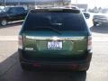 Meander Green Metallic - Equinox LS AWD Photo No. 5