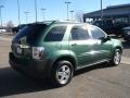 Meander Green Metallic - Equinox LS AWD Photo No. 6