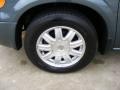 2007 Magnesium Pearl Chrysler Town & Country   photo #13