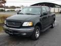 2001 Dark Highland Green Metallic Ford F150 XLT SuperCrew 4x4  photo #2