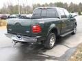 2001 Dark Highland Green Metallic Ford F150 XLT SuperCrew 4x4  photo #4
