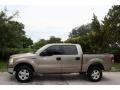 2004 Arizona Beige Metallic Ford F150 XLT SuperCrew 4x4  photo #4