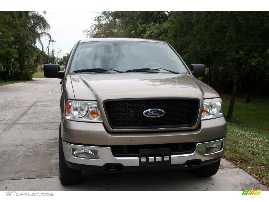 2004 F150 XLT SuperCrew 4x4 - Arizona Beige Metallic / Tan photo #21