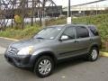 2005 Silver Moss Metallic Honda CR-V EX 4WD  photo #4