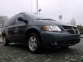 Magnesium Pearl - Grand Caravan SXT Photo No. 7