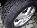 Magnesium Pearl - Grand Caravan SXT Photo No. 31