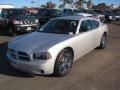 Bright Silver Metallic - Charger SE Photo No. 1