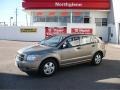 Light Khaki Metallic - Caliber SE Photo No. 1