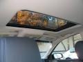 Liquid Platinum Metallic - M 45 Sedan Photo No. 16