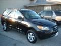 Ebony Black - Santa Fe GLS Photo No. 3
