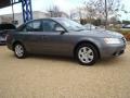 Willow Gray - Sonata GLS Photo No. 7