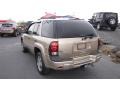 2007 Sandstone Metallic Chevrolet TrailBlazer LS 4x4  photo #8