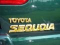 2002 Imperial Jade Green Mica Toyota Sequoia Limited  photo #9