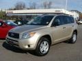 Savannah Metallic - RAV4 4WD Photo No. 1