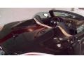 Black Onyx - Sky Roadster Photo No. 22